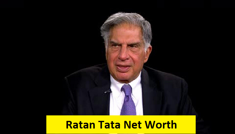 RATAN TATA NET WORTH